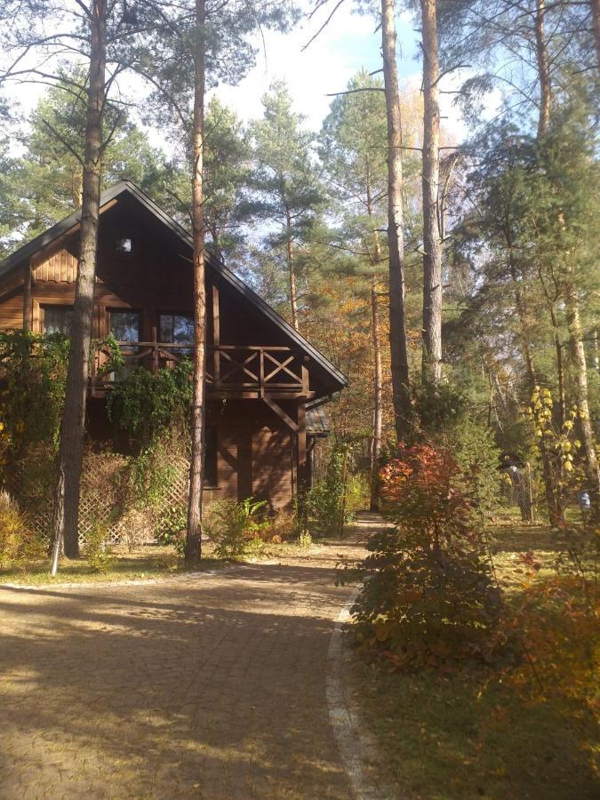 Lesna Ostoja Nad Pilica Vila Lechanice Exterior foto