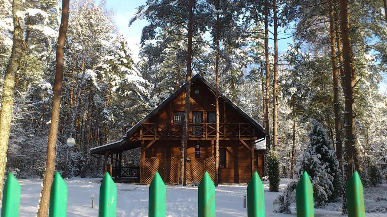 Lesna Ostoja Nad Pilica Vila Lechanice Exterior foto