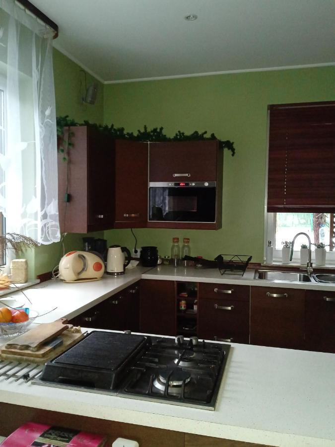 Lesna Ostoja Nad Pilica Vila Lechanice Exterior foto