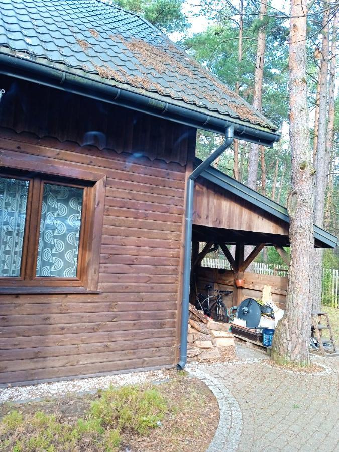Lesna Ostoja Nad Pilica Vila Lechanice Exterior foto